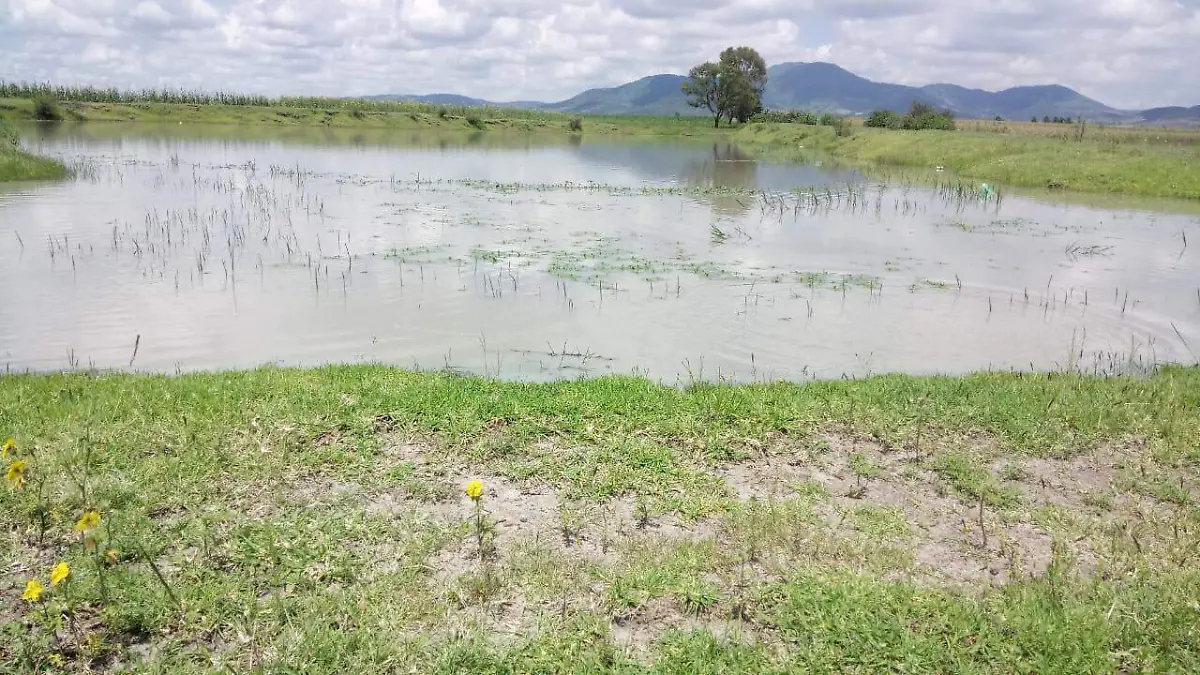 Trabajos de rehabilitaci_n en bordos de Tequisquiapan permitir_n mejor captaci_n de agua.